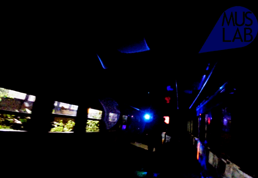 vlcsnap-125575